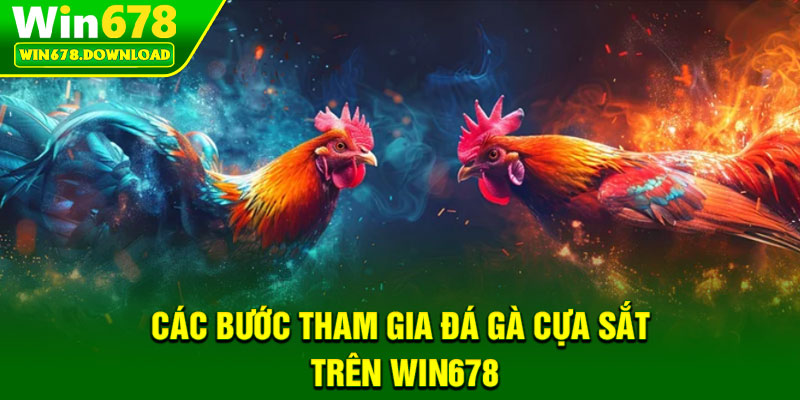 Đá Gà Cựa Sắt – Nơi Hội Tụ Những Chiến Kê Hàng Đầu 6 Các bước tham gia đá gà cựa sắt trên Win678