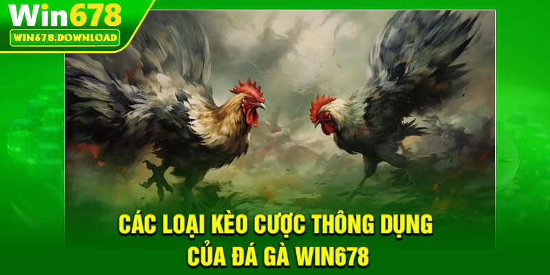 Đá Gà Win678 – Đấu Trường Kịch Tính Cho Cao Thủ Cá Cược 2 Cac loai keo cuoc thong dung cua da ga Win678