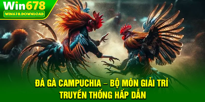 Đá Gà Campuchia – Bộ Môn Giải Trí Truyền Thống Hấp Dẫn 9 Đá Gà Campuchia – Bộ Môn Giải Trí Truyền Thống Hấp Dẫn