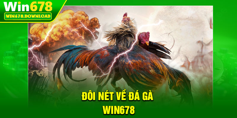 Đá Gà Win678 – Đấu Trường Kịch Tính Cho Cao Thủ Cá Cược 1 Đôi nét về đá gà Win678