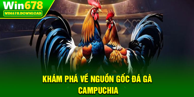 Đá Gà Campuchia – Bộ Môn Giải Trí Truyền Thống Hấp Dẫn 5 Khám phá về nguồn gốc đá gà Campuchia