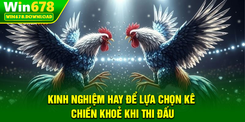 Đá Gà Campuchia – Bộ Môn Giải Trí Truyền Thống Hấp Dẫn 7 Kinh nghiệm hay để lựa chọn kê chiến khoẻ khi thi đấu