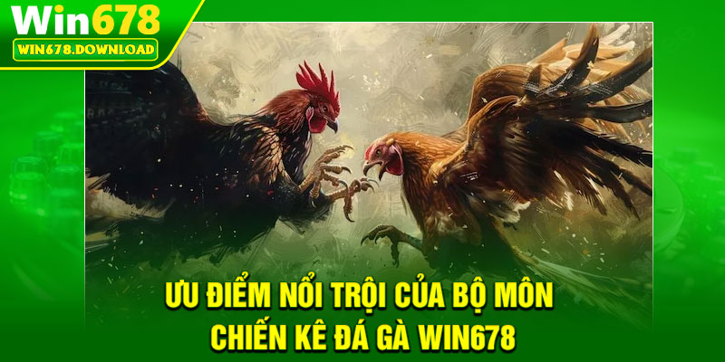Đá Gà Win678 – Đấu Trường Kịch Tính Cho Cao Thủ Cá Cược 3 Ưu điểm nổi trội của bộ môn chiến kê đá gà Win678